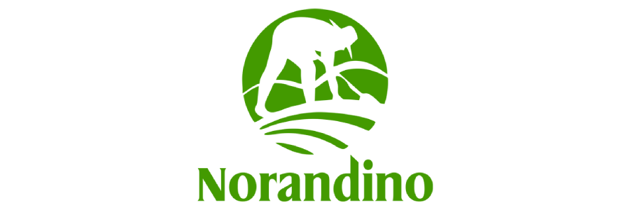 logonorandino2